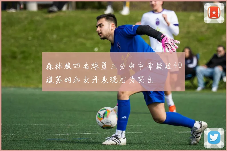 森林狼四名球员三分命中率接近40道苏姆和麦丹表现尤为突出
